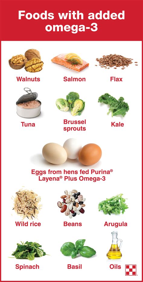 omega 3 which food.